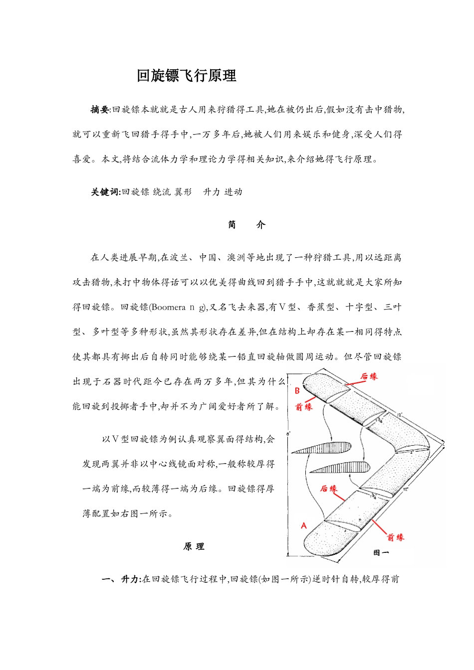 回旋镖飞行原理_第1页