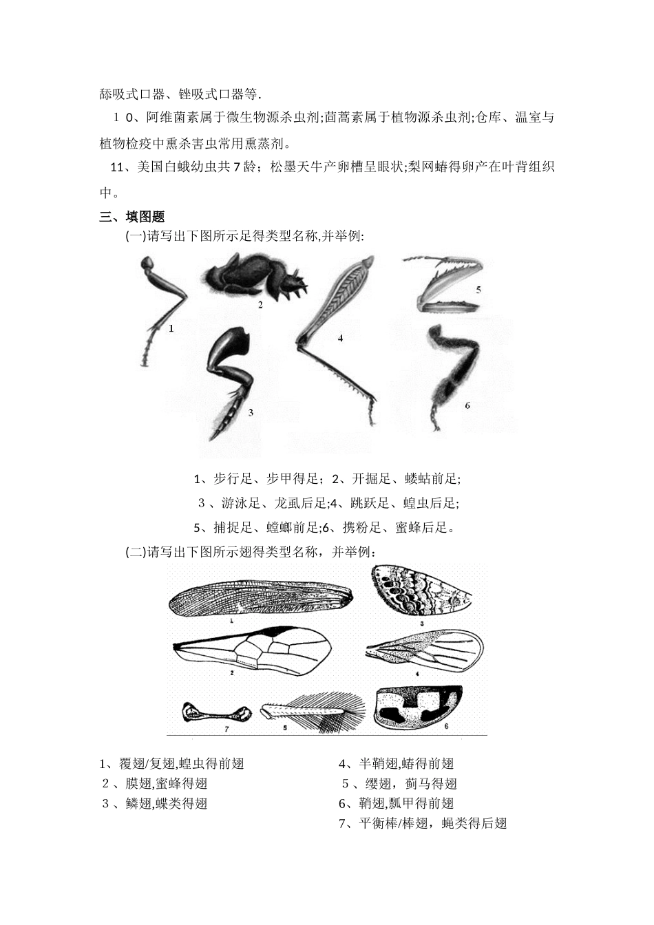 园林植物病虫害防治复习提纲_第2页