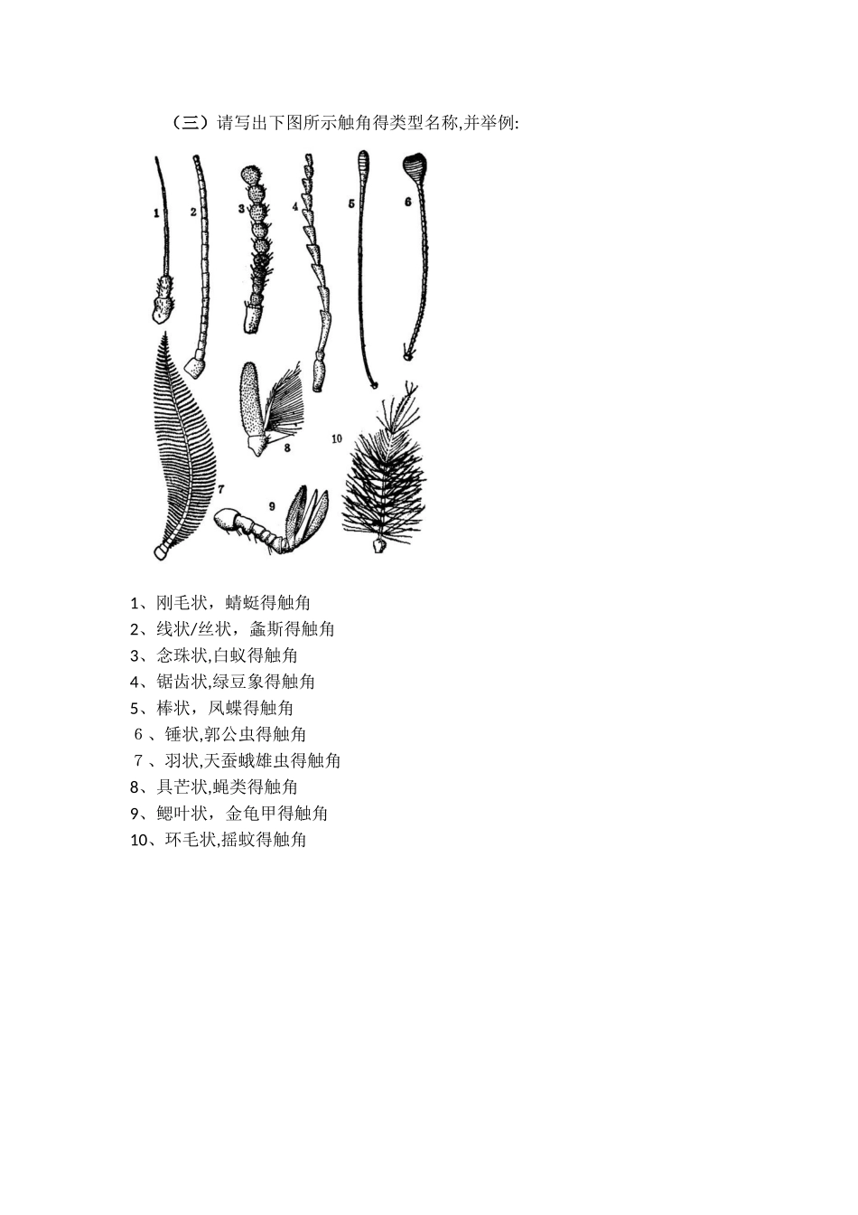 园林植物病虫害防治复习提纲_第3页