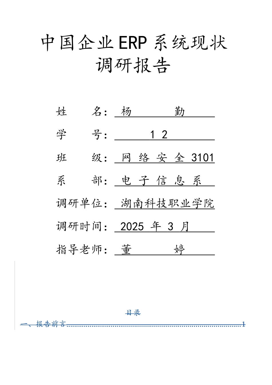 国内erp系统现状调查报告本科学位论文_第1页