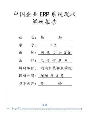 国内erp系统现状调查报告本科学位论文
