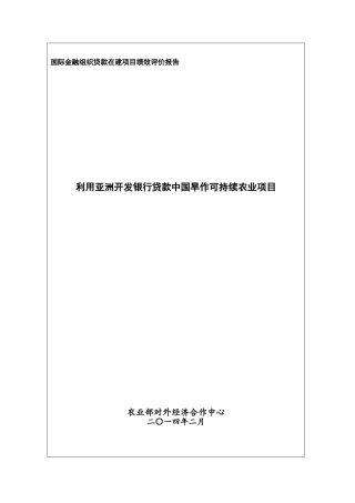 国际金融组织贷款在建项目绩效评价报告
