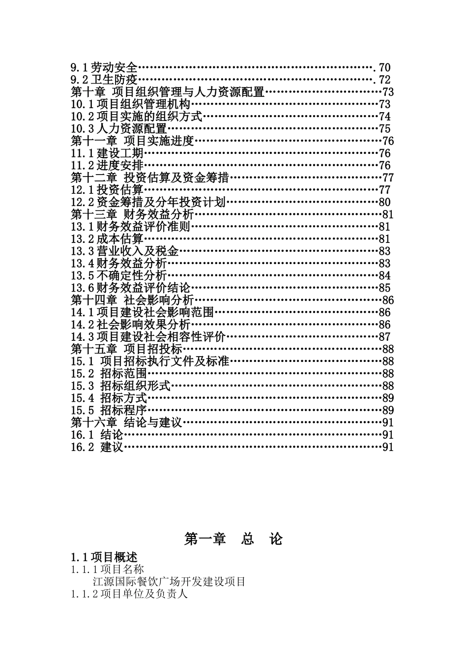 国际餐饮广场开发建设项目可行性研究报告_第3页