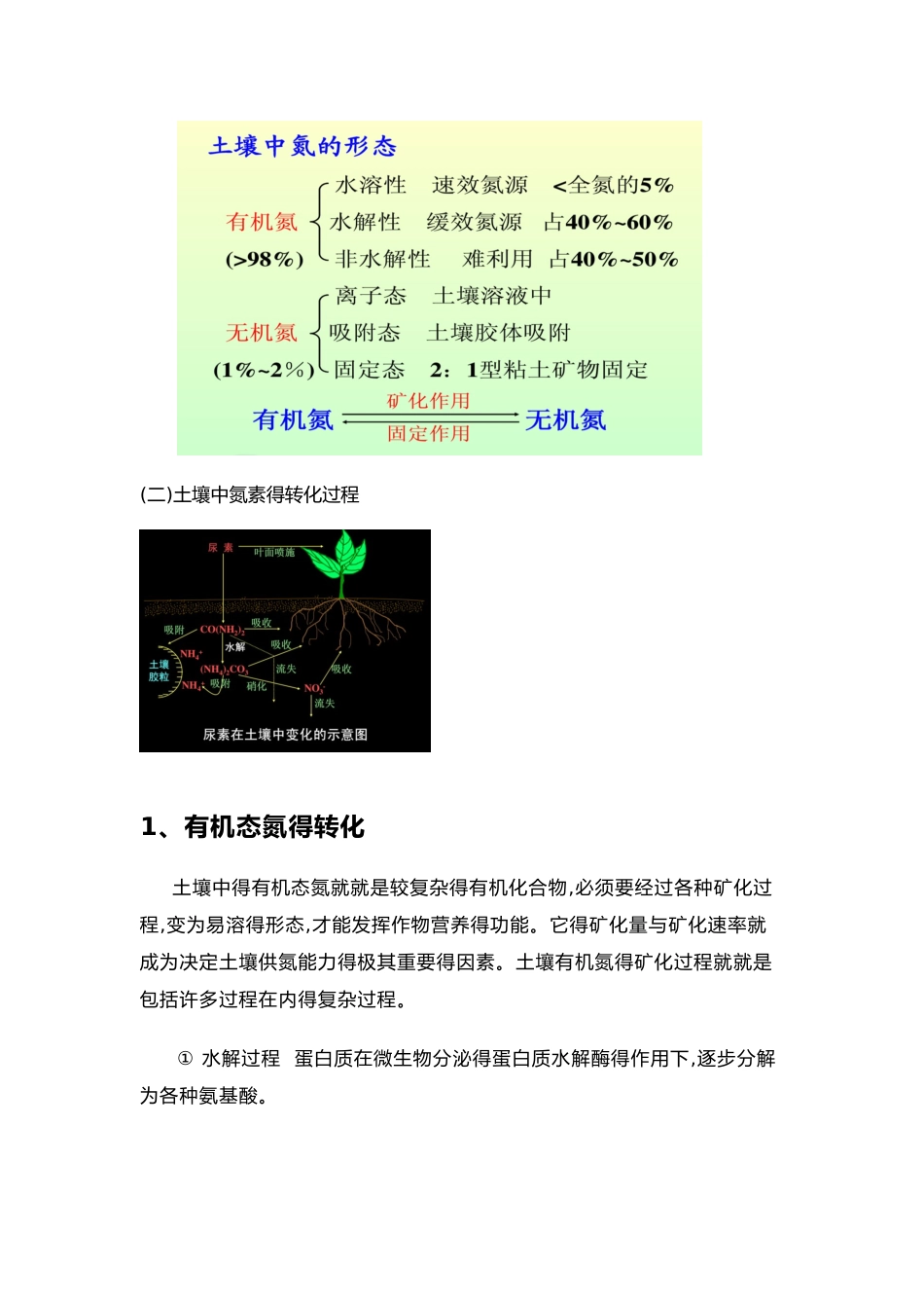 土壤中氮素转化过程及植物吸收方式_第2页