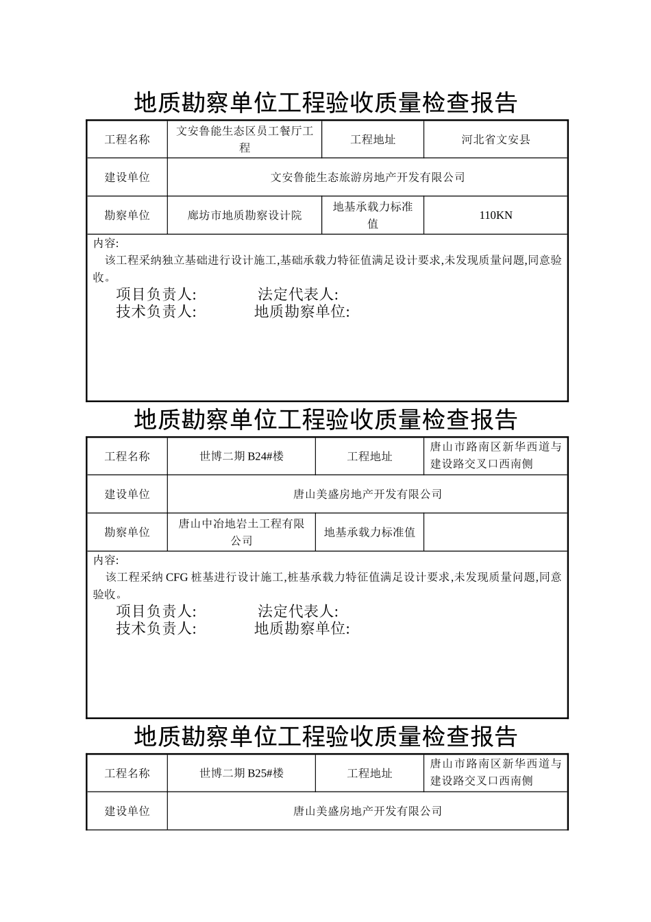 地质勘查单位工程验收质量检查报告_第1页