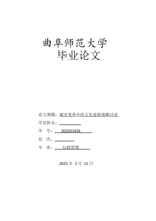 城市变革中的文化发展策略研究--学位论文