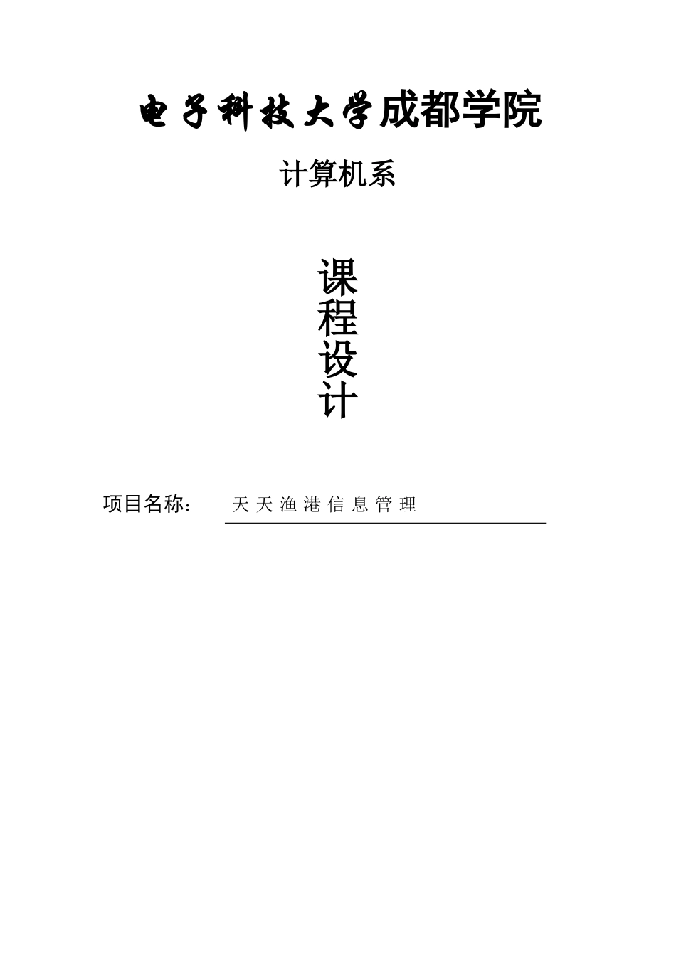 基于Visual-Basic的天天渔港财务管理系统研制开发--课程设计报告_第1页