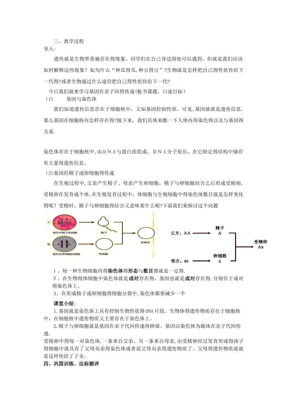 基因在亲子代间的传递说课稿_第2页