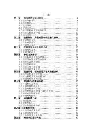 大厦全自动机械化立体式停车场项目申请报告