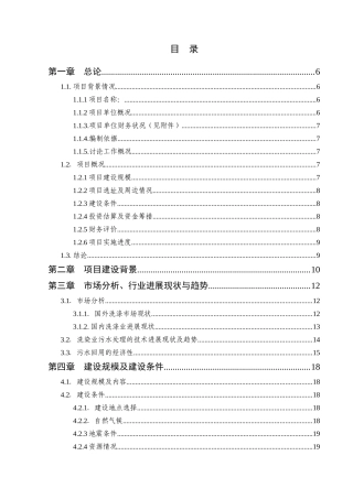 大型环保洗涤城建设项目投资立项书