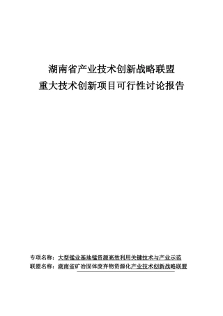 大型锰业基地锰资源高效利用关键技术与产业示范可行性报告