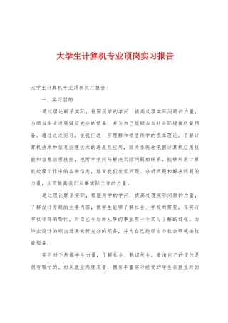 大学生计算机专业顶岗实习报告