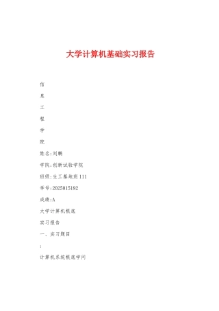 大学计算机基础实习报告