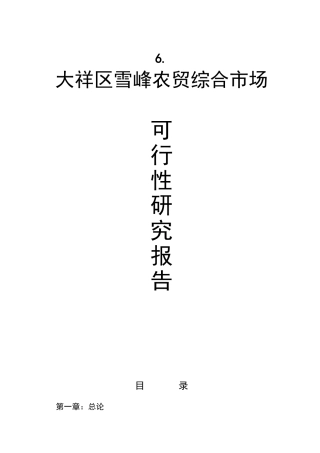 大祥区雪峰农贸综合市场可行性研究报告