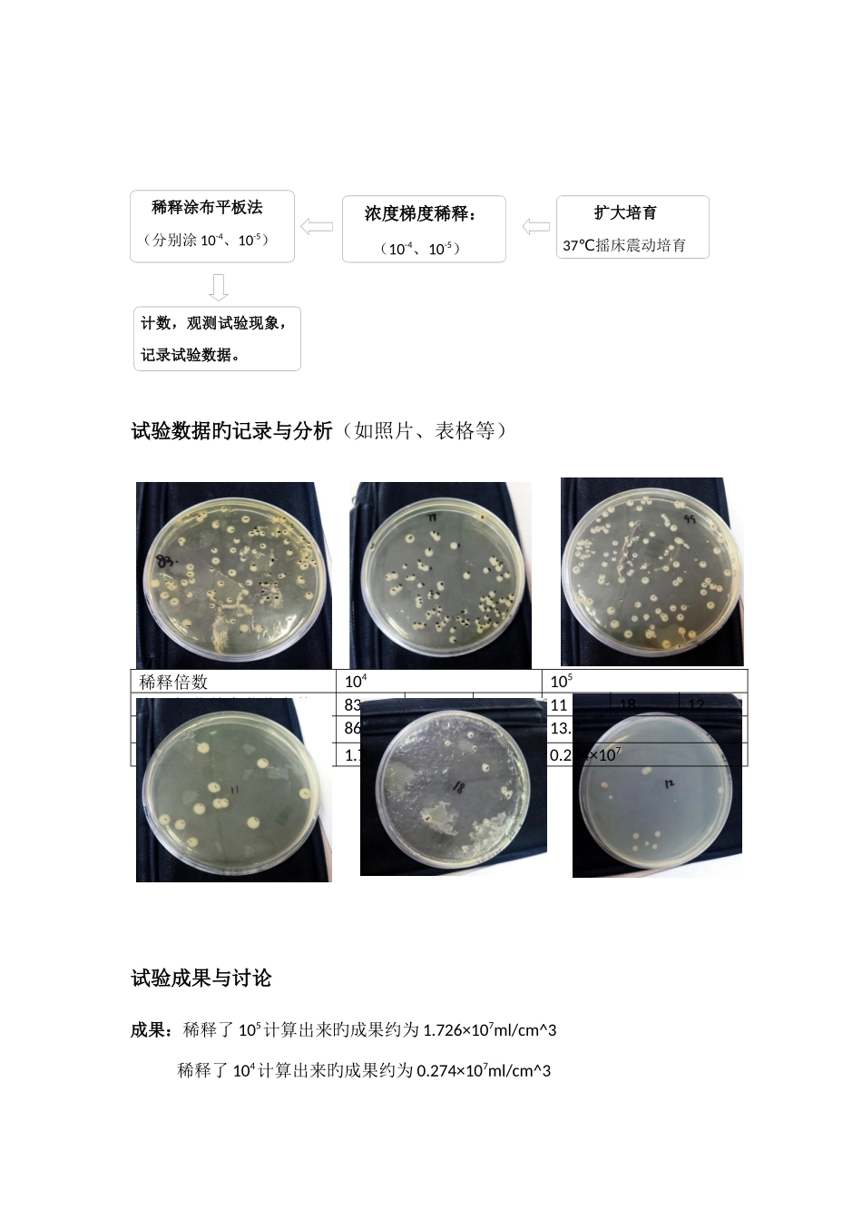 大肠杆菌微生物培养实验报告及评价标准_第2页