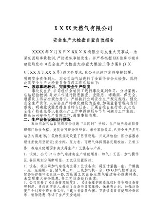 天然气有限公司自查报告报