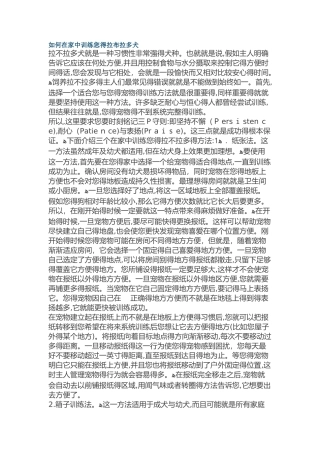 如何在家中训练你的拉布拉多犬