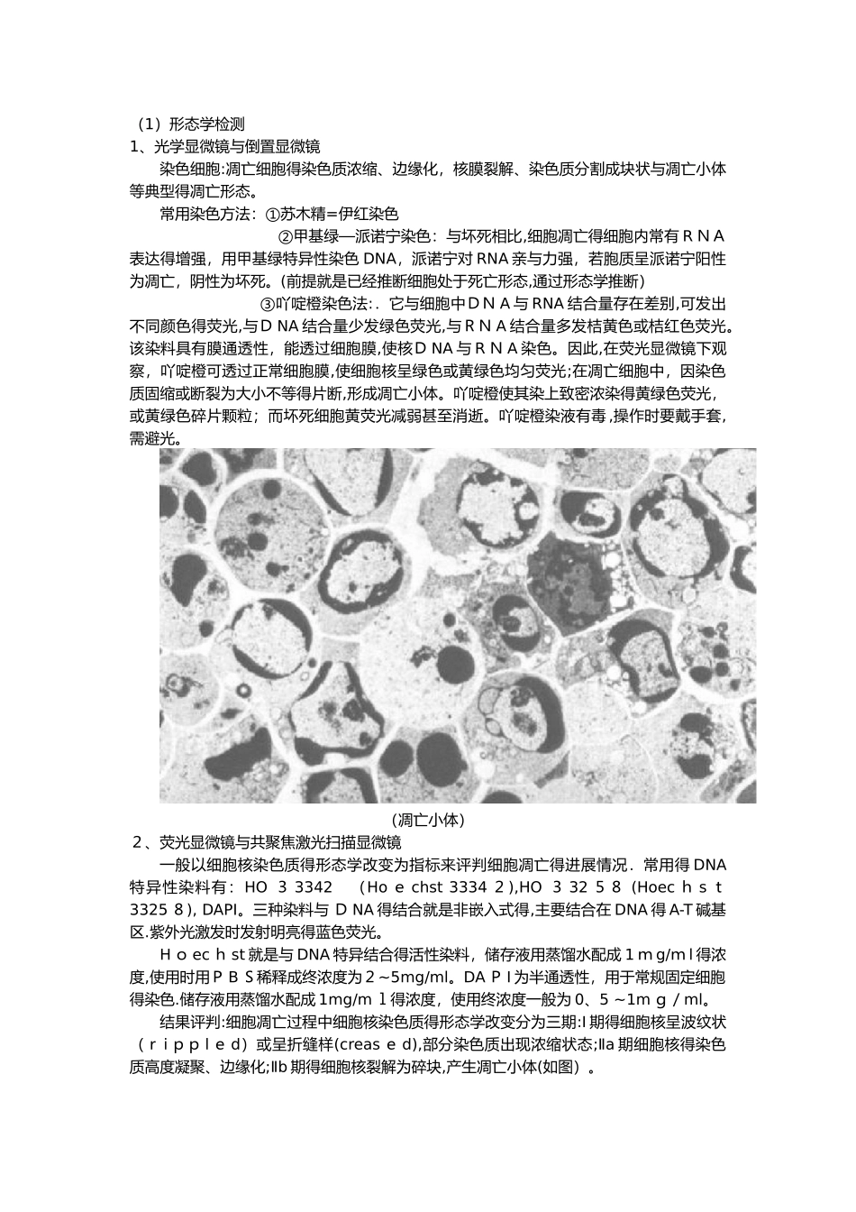 如何在组织中检测细胞增殖,分化和凋亡_第2页