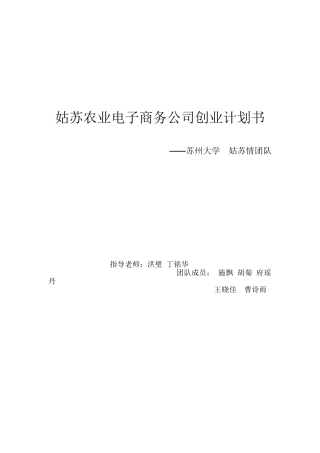 姑苏农业电子商务公司创业计划书
