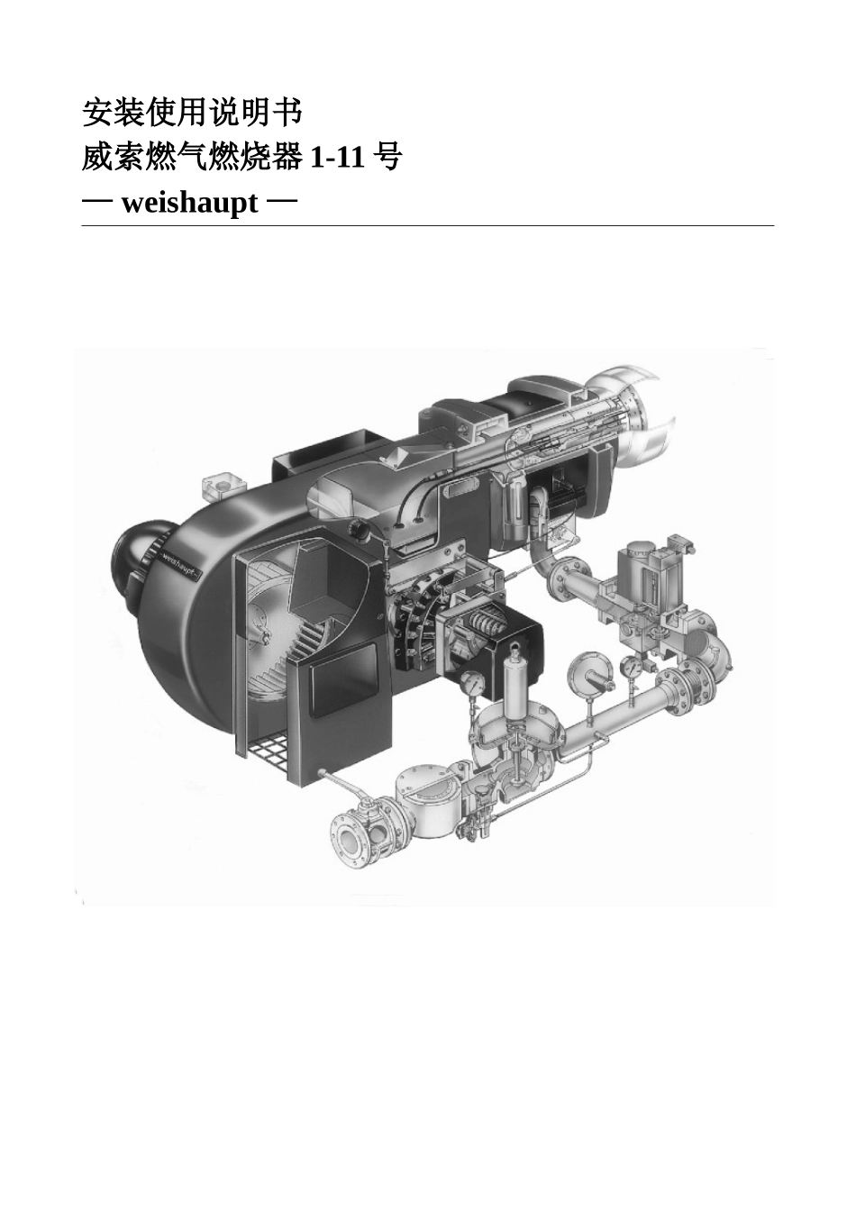 威索燃烧器中文说明书_第1页