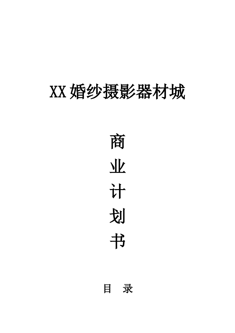 婚纱摄影器材城商业计划书_第2页