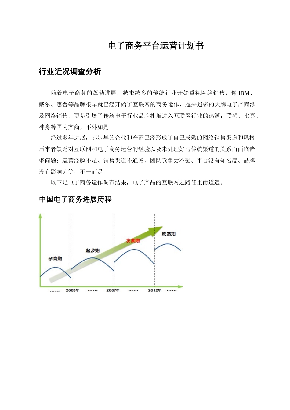 子电商务平台运营策划书--大学毕设论文_第1页