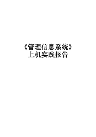 子电商务系统分析与设计管理信息系统报告大学论文