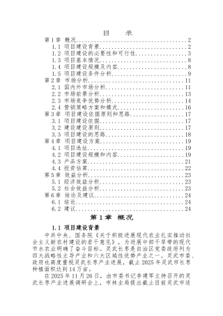宁夏银湖农林牧开发有限公司新建万吨红枣深加工项目建议书