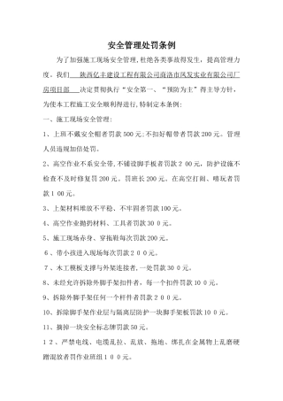 安全管理处罚条例