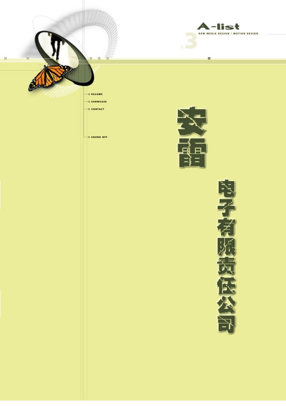 安雷电子有限公司创业计划书_第3页