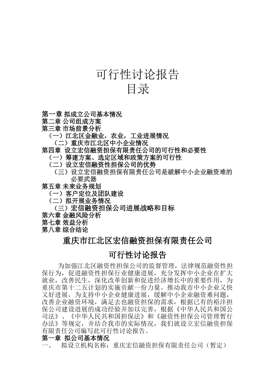 宏信融资担保有限责任公司可行性研究报告_第2页