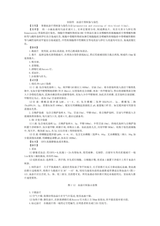 实验四  血涂片的制备与染色