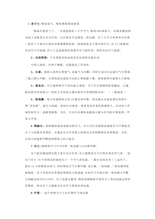 室内最适宜养的18种植物