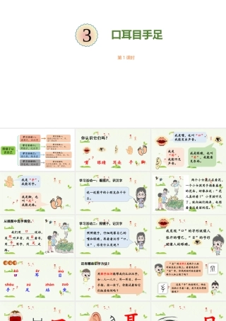 25秋新教材人教统编版一年级上册1.3《口耳目手足》第1课时课件