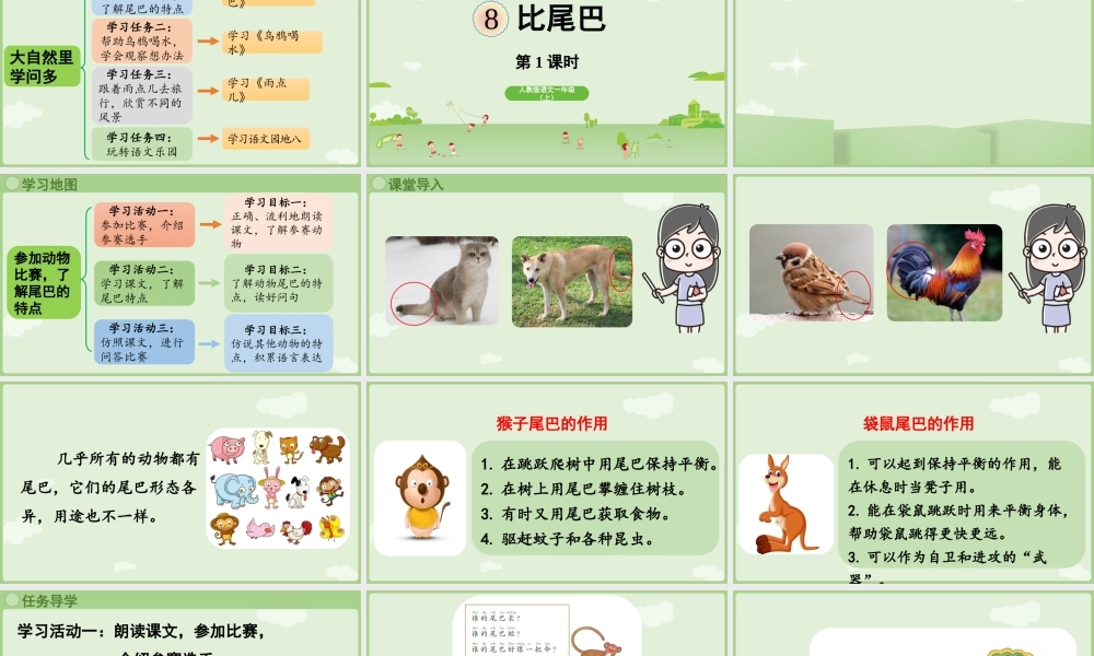 2025秋人教统编版一年级上册语文第8单元8.8《比尾巴》第1课时课件