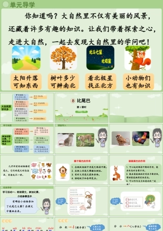 2025秋人教统编版一年级上册语文第8单元8.8《比尾巴》第1课时课件