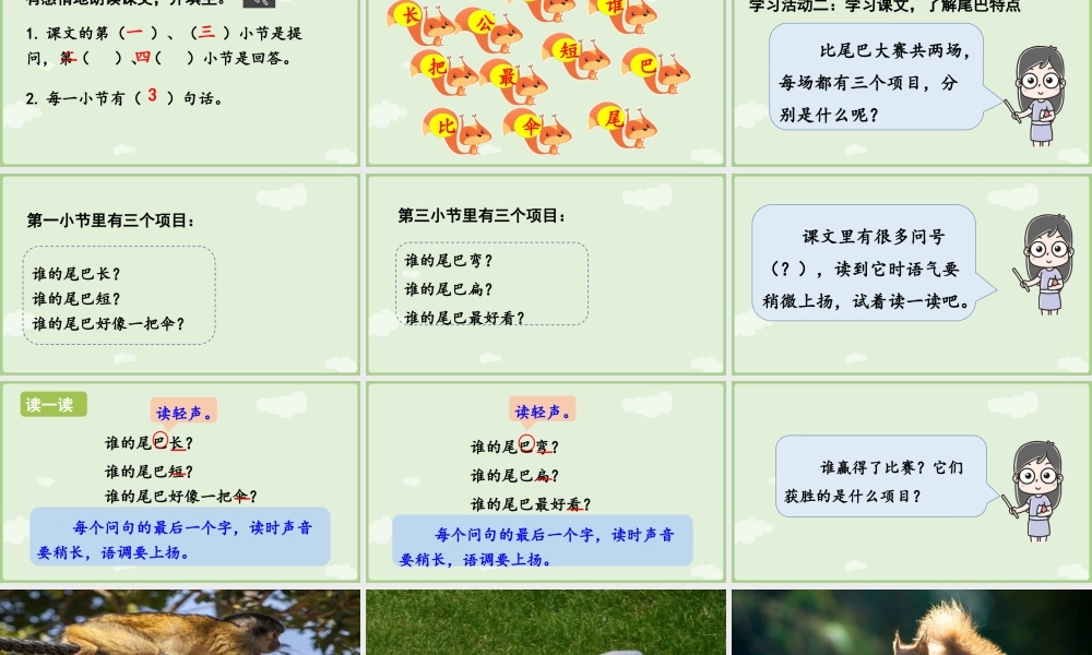 2025秋人教统编版一年级上册语文第8单元8.8《比尾巴》第2课时课件