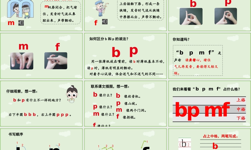 2025秋人教统编版一年级上册语文第二单元2.3《b p m f》第1课时课件