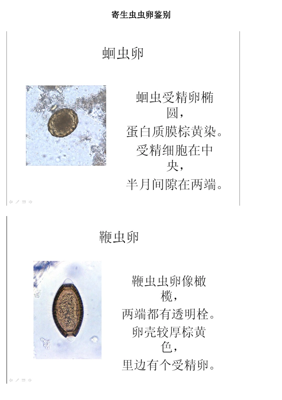寄生虫虫卵鉴别,重点总结_第1页