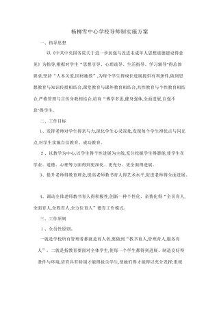 导师制实施方案