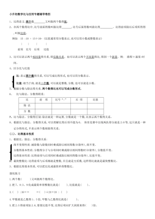 小升初比和比例专题训练卷