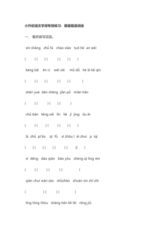 小升初语文字词专项练习