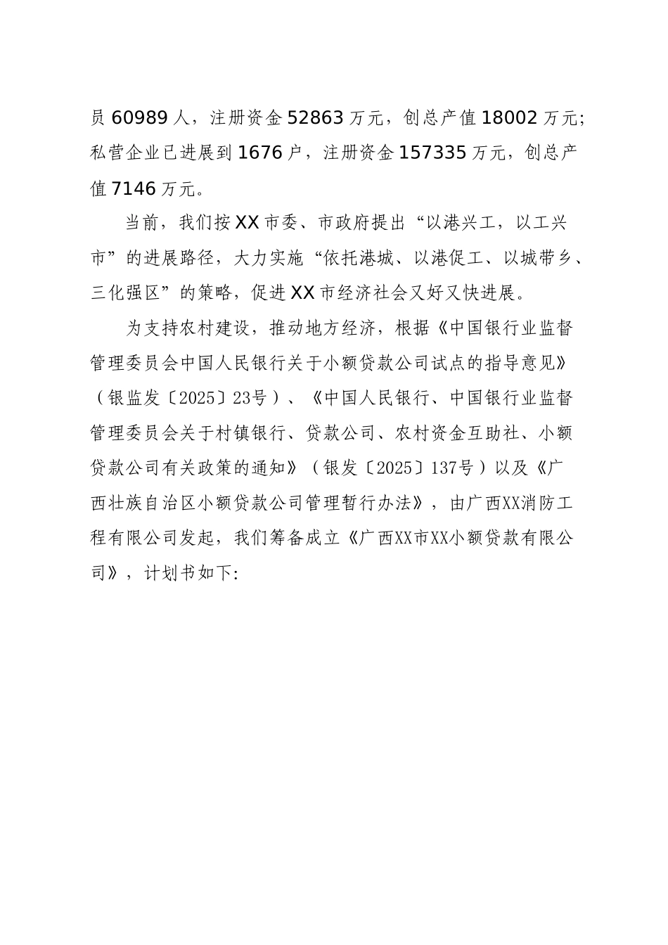 小额贷款有限公司项目可行性研究报告_第3页