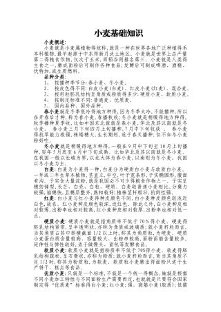 小麦基础知识