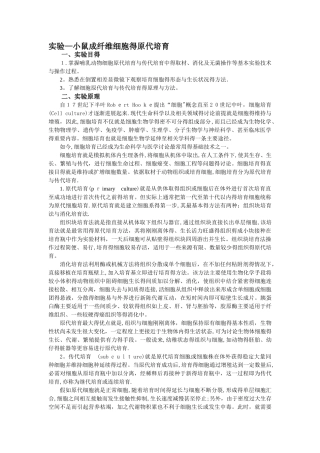 小鼠成纤维细胞原代培养