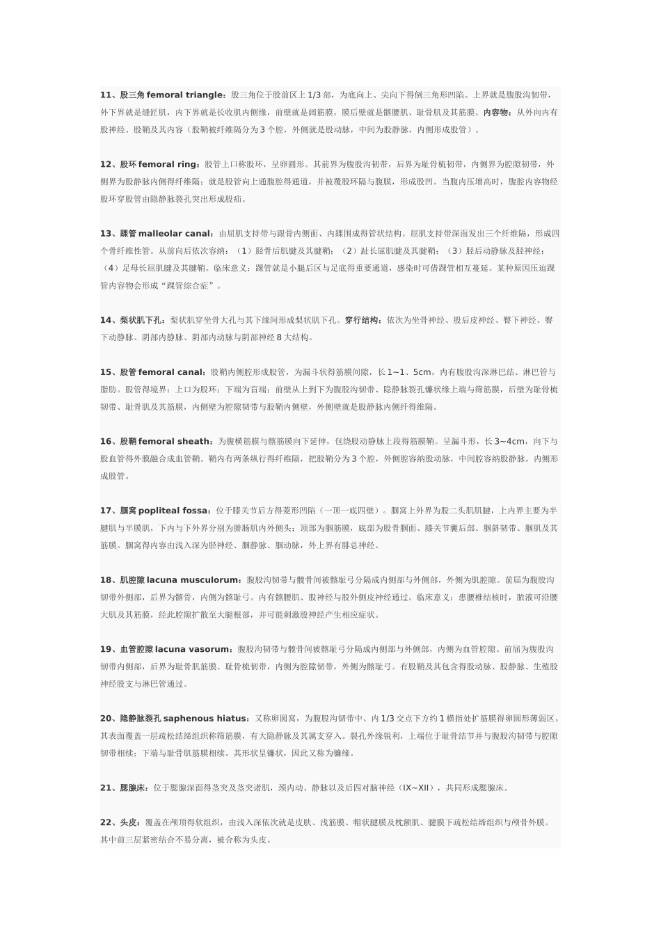 局部解剖名词解释完整版_第2页