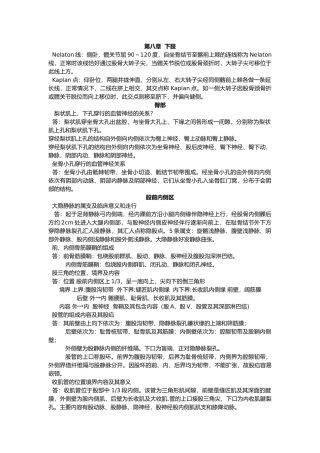 局部解剖学重点
