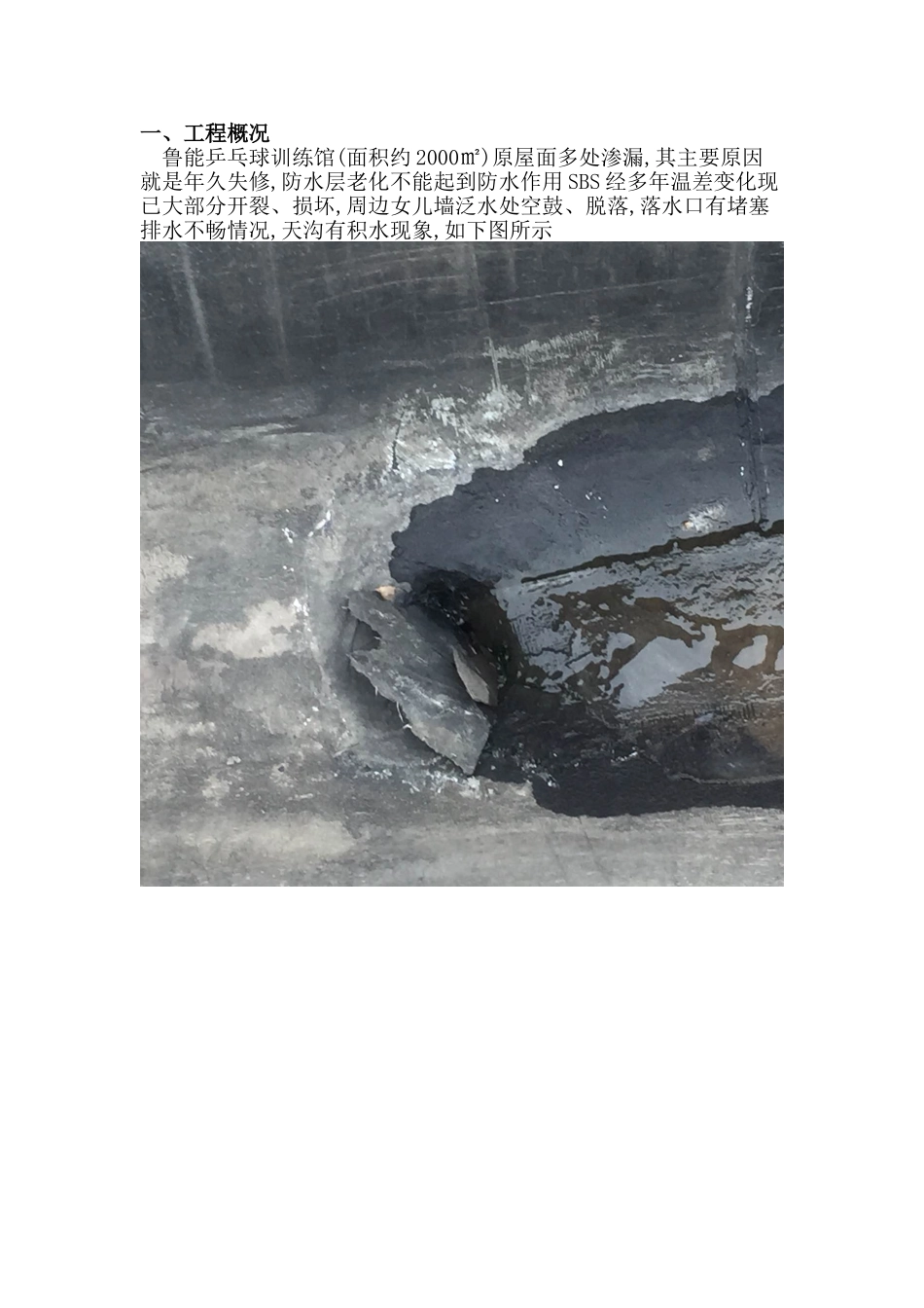 屋面防水维修施工方案_第2页