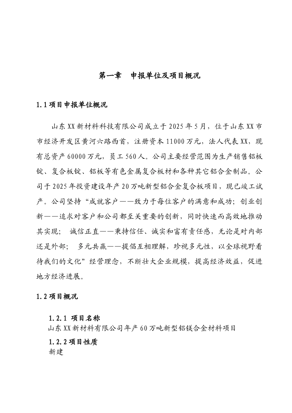 山东XXX新材料有限公司年产60万吨新型铝镁合金材料项目申请报告_第2页