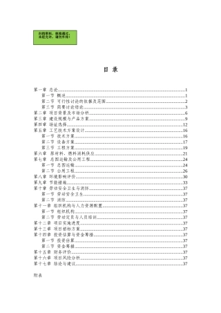 山东XX数字式电子汽车衡项目可行性研究报告